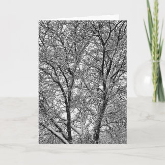 Winter Snow Tree Branches Photograph Card