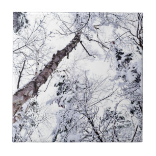 Winter Snow Trees Forest 1 Ceramic Tile