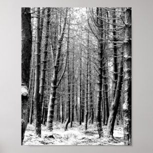Winter snow woodland forest poster
