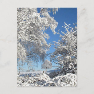 Winter Snowfall Postcard