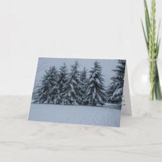Winter Snowy Cedars Card