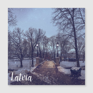 Winter snowy city park in the evening