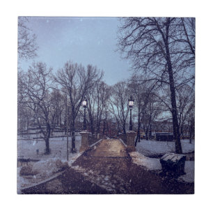 Winter snowy city park in the evening ceramic tile