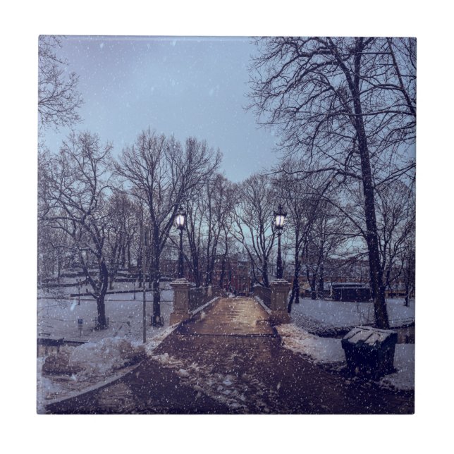 Winter snowy city park in the evening ceramic tile (Front)