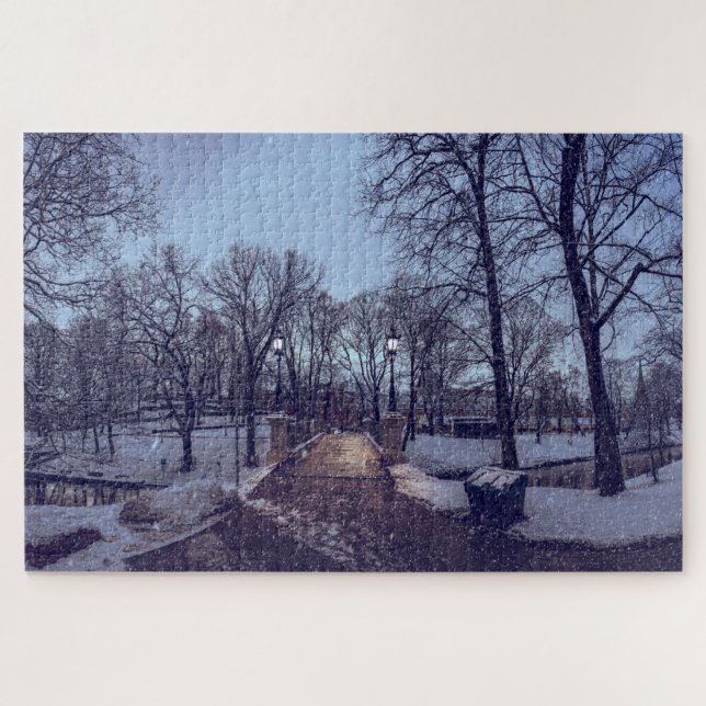 Winter snowy city park in the evening jigsaw puzzle (Horizontal)