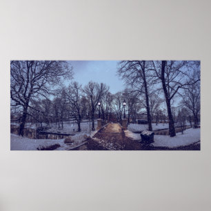 Winter snowy city park in the evening poster