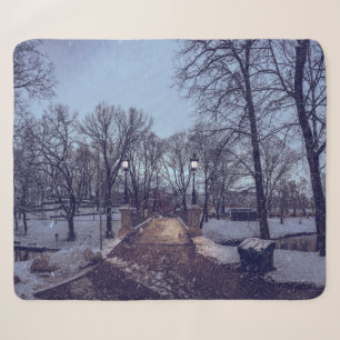 Winter snowy city park in the evening sherpa blanket