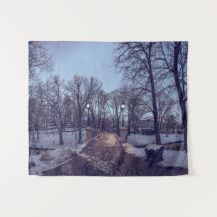 Winter snowy city park in the evening tapestry