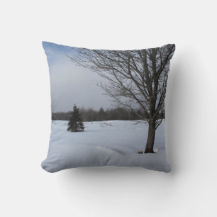winter snowy cool wonderland country landscape cushion