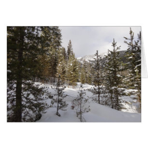 Winter Snowy Mountain Scene in Montana