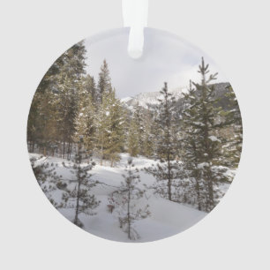 Winter Snowy Mountain Scene in Montana Ornament