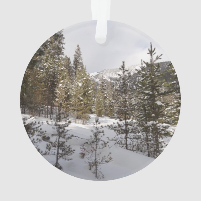 Winter Snowy Mountain Scene in Montana Ornament (Back)