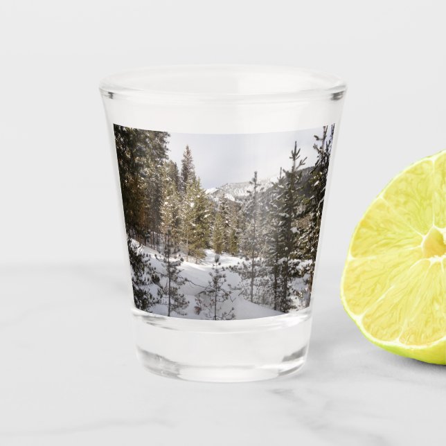 Winter Snowy Mountain Scene in Montana Shot Glass (Front)