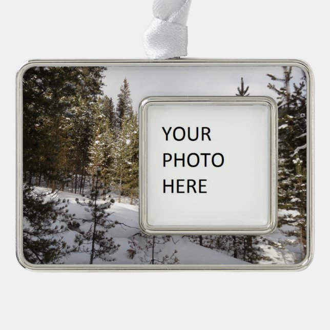 Winter Snowy Mountain Scene in Montana Silver Plated Framed Ornament (Front)