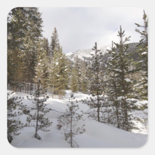 Winter Snowy Mountain Scene in Montana Square Sticker
