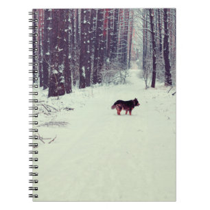 Winter snowy pine forest, dog walking in the fores notebook