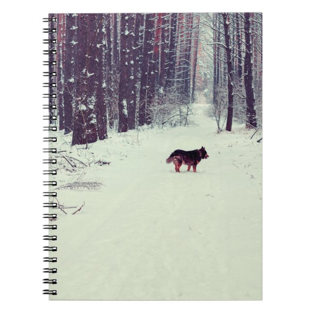 Winter snowy pine forest, dog walking in the fores notebook (Front)