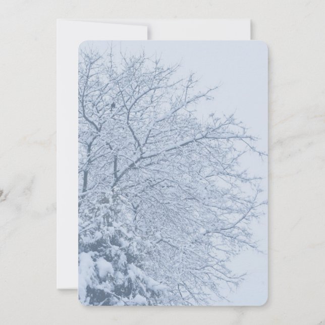 Winter Snowy Tree Branches Invitation (Back)