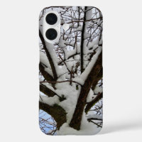 Winter Snowy Tree Crown Photo -