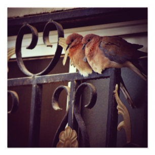 Winter Snuggles Photo Print