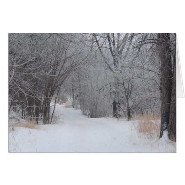 Winter Solitude (Front Horizontal)