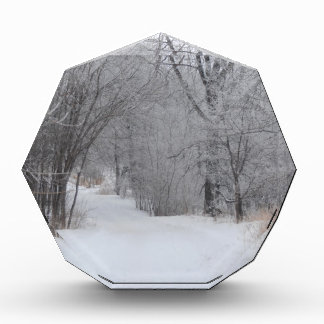 Winter Solitude Photo Block