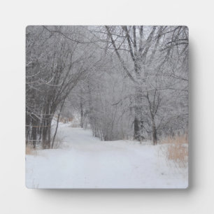Winter Solitude Plaque