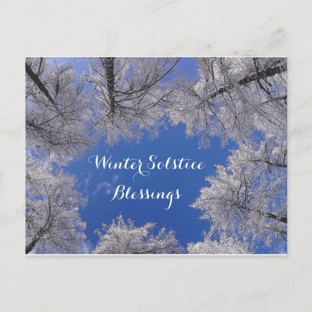 Winter Solstice Blessings Winter Trees and Sky Postcard (Front)