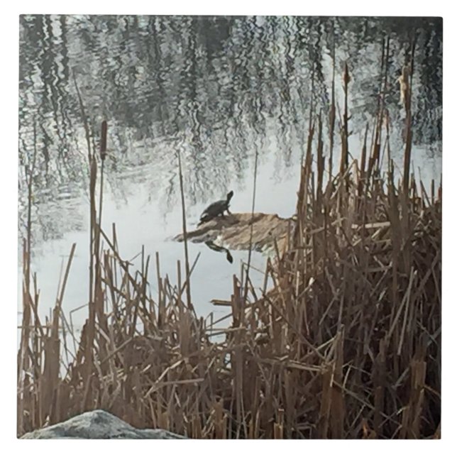 Winter Solstice Ceramic Tile (Front)