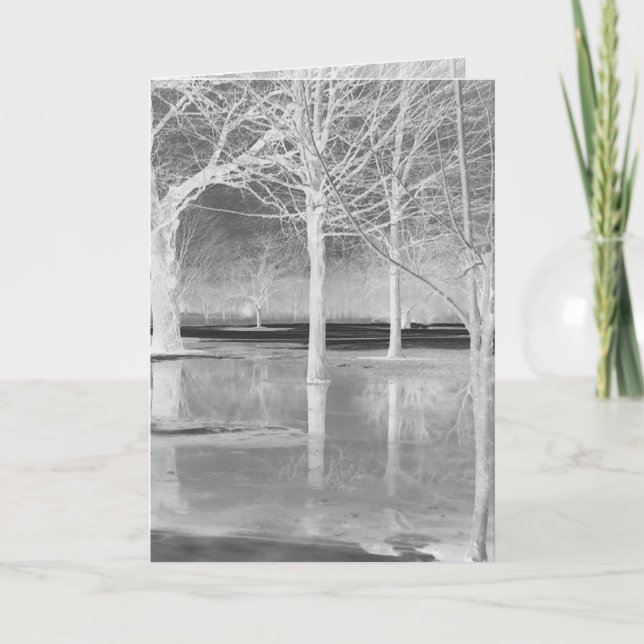 Winter Solstice Greeting Card by Janz (Front)