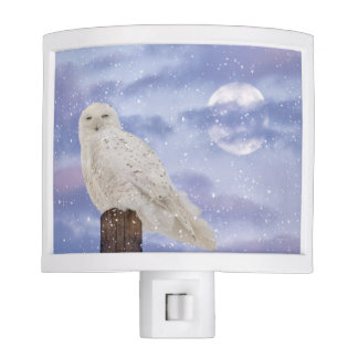 Winter solstice nite lites