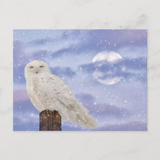 Winter solstice postcard