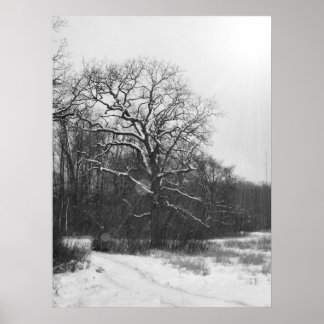 Winter Solstice Poster