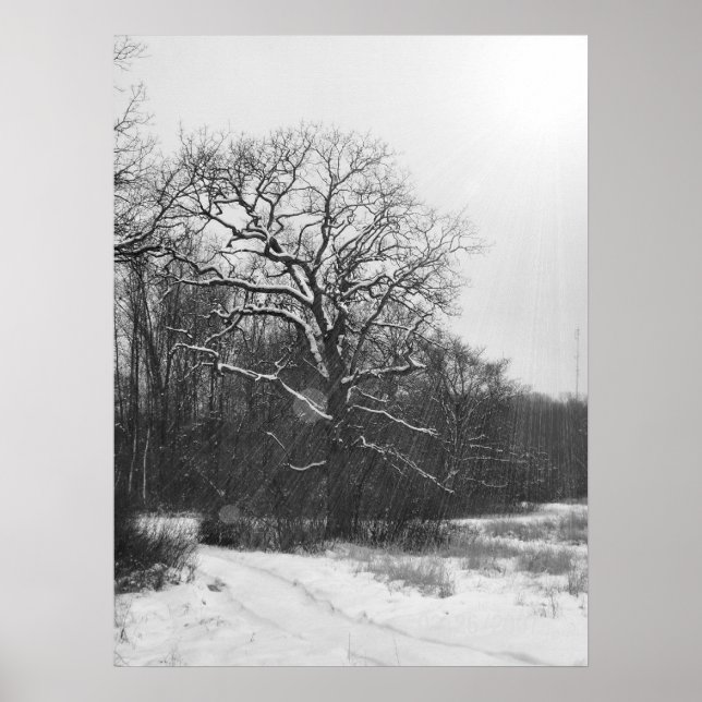 Winter Solstice Poster (Front)