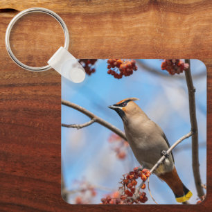 Winter Songbird, Bohemian Waxwing Key Ring