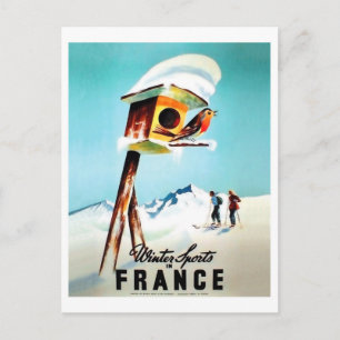 Winter sports in France, little bird in her home Postcard