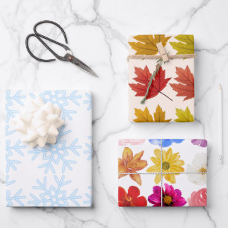 Winter, Spring, Autumn Seasons Gift Wrap