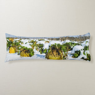Winter Squash in Snow - Personalised Body Cushion