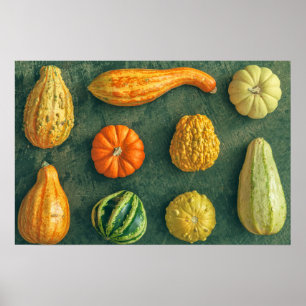 Winter Squash Poster