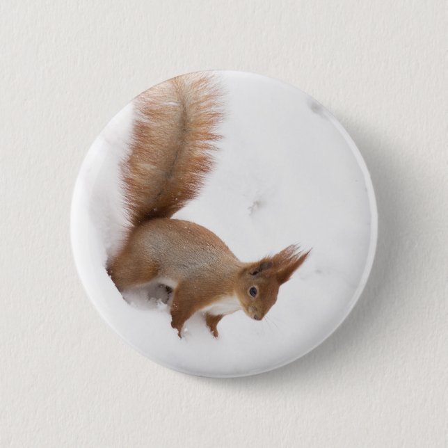Winter Squirrel 6 Cm Round Badge (Front)