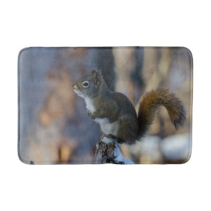 Winter Squirrel, Brown Animal, Canadian Photograph Bath Mat