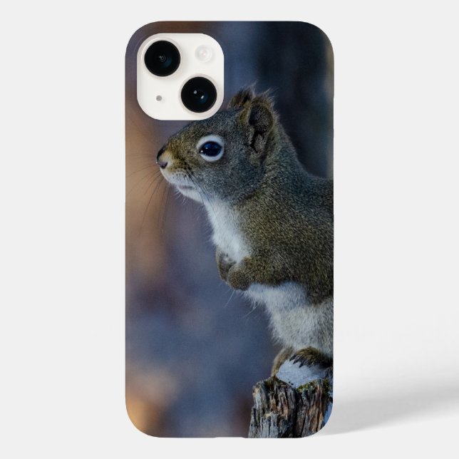 Winter Squirrel, Brown Animal, Canadian Photograph Case-Mate iPhone Case (Back)