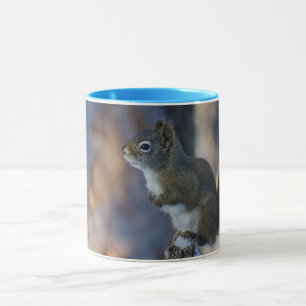 Winter Squirrel, Brown Animal, Canadian Photograph Mug