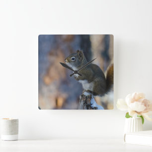Winter Squirrel, Brown Animal, Canadian Photograph Square Wall Clock
