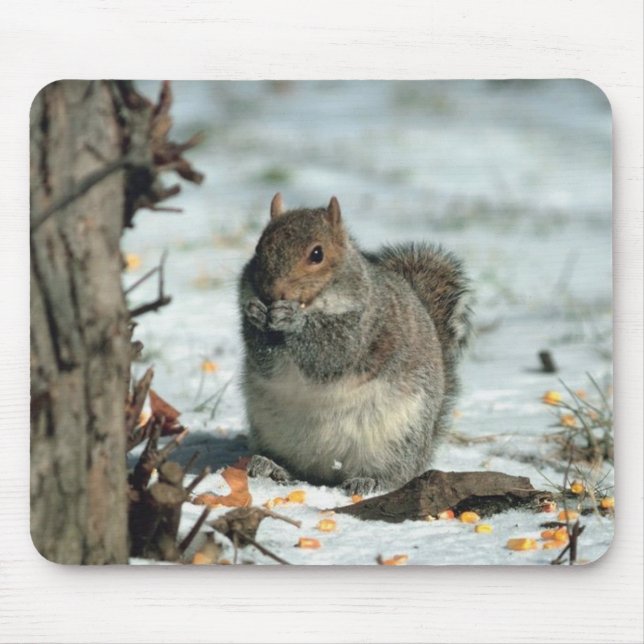 Winter Squirrel Mouse Pad (Front)