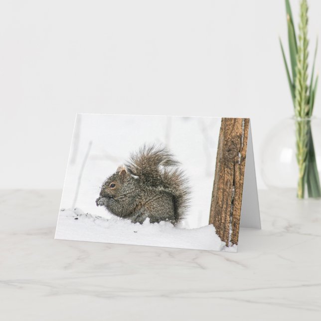 Winter Squirrel Notecard (Front)