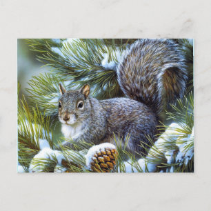Winter Squirrel Postcard