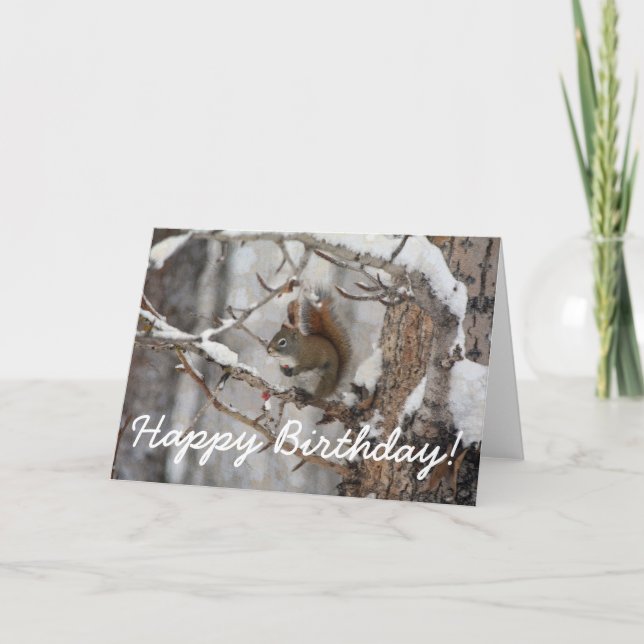 Winter Squirrel, Snow & Red Berries Xmas Design Holiday Card (Front)