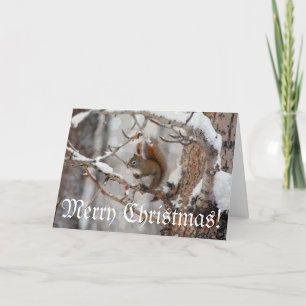 Winter Squirrel, Snow & Red Berries Xmas Design Holiday Card