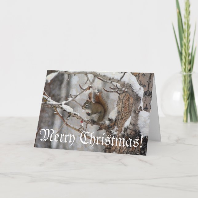 Winter Squirrel, Snow & Red Berries Xmas Design Holiday Card (Front)